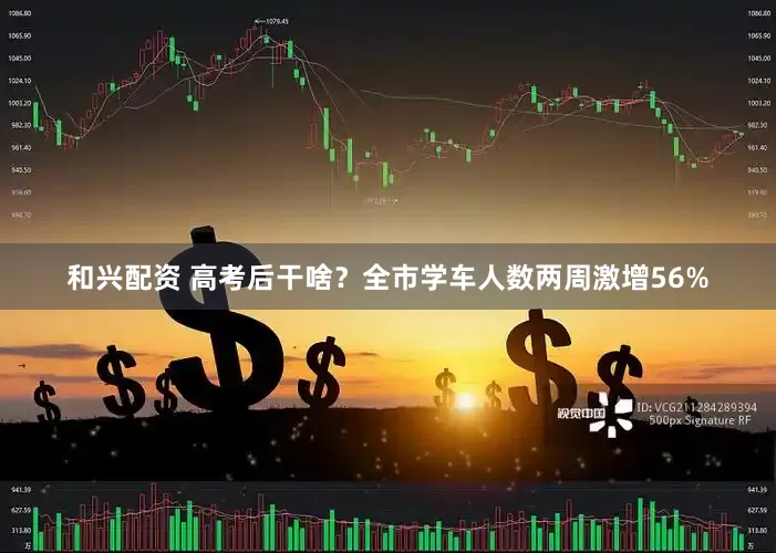 和兴配资 高考后干啥？全市学车人数两周激增56%